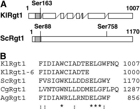 Figure 3.—