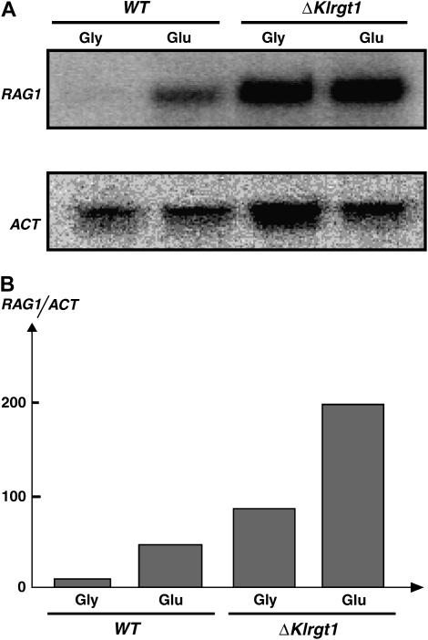 Figure 4.—