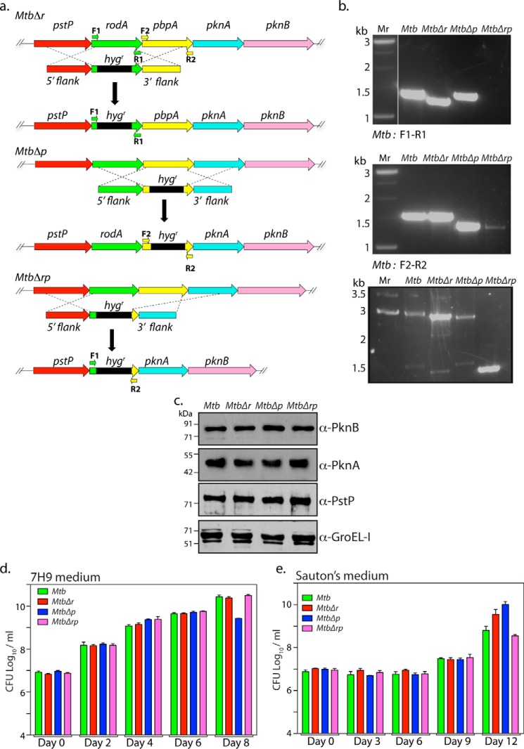 Figure 3.