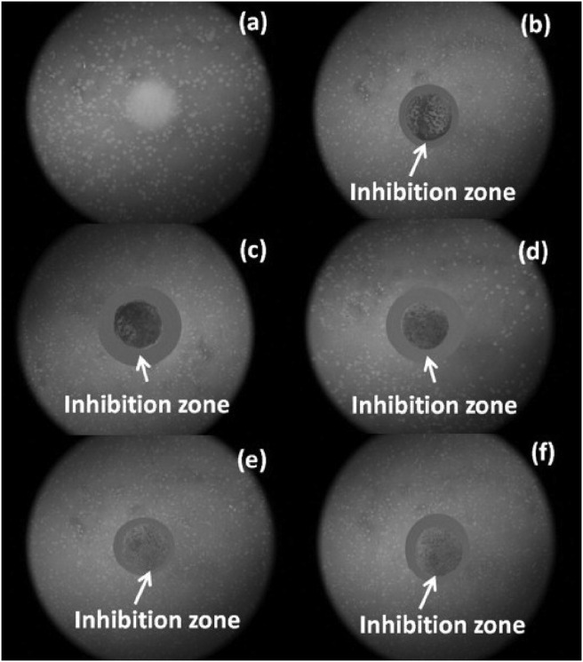 Fig. 7