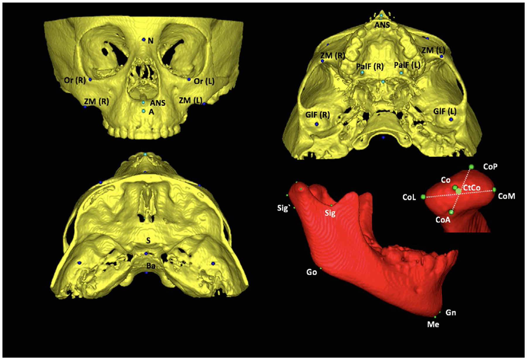 FIGURE 1