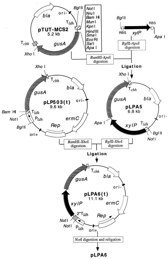 FIG. 1