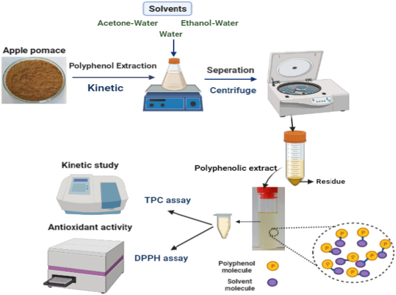 graphic file with name 40643_2021_465_Figa_HTML.jpg