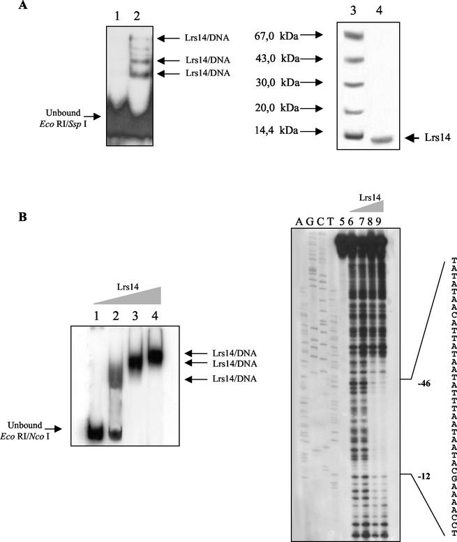 FIG. 3.