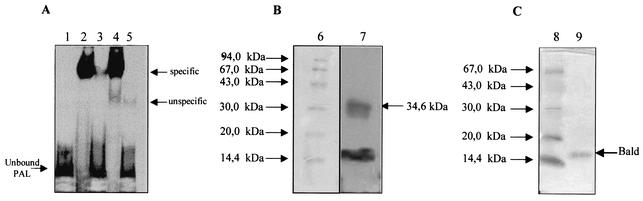 FIG. 6.