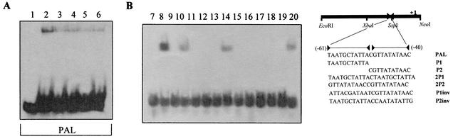 FIG. 5.