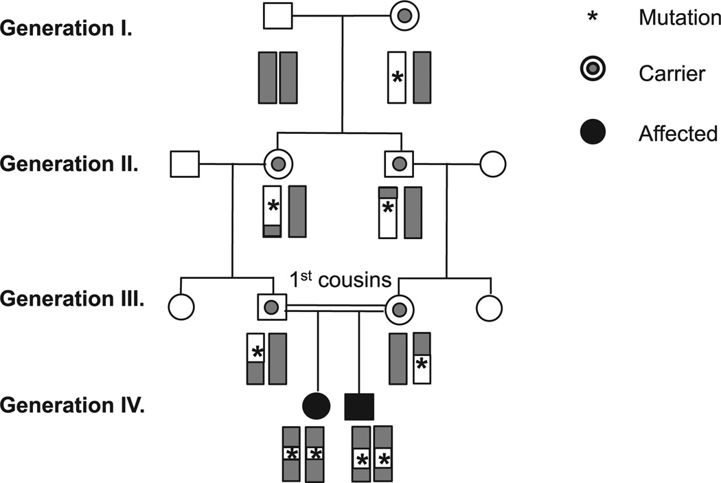 FIG 1