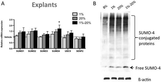 Fig 5