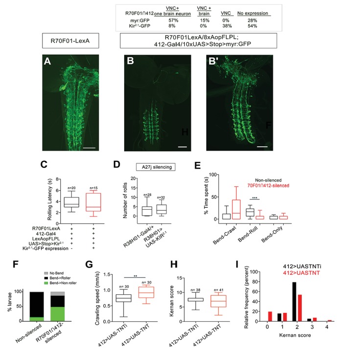 Figure 4—figure supplement 1.