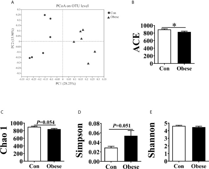 Figure 6