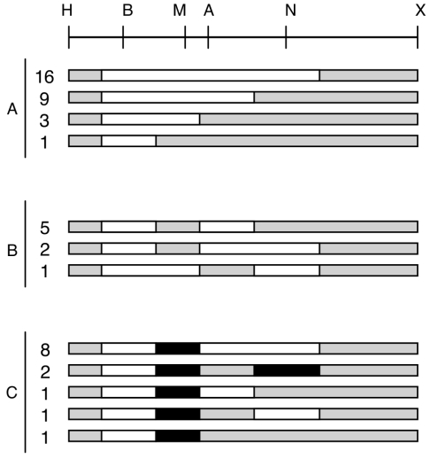 FIG. 6.