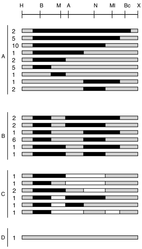 FIG. 4.