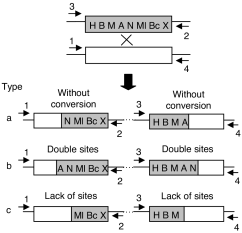 FIG. 2.