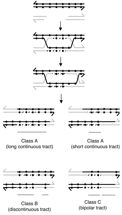 FIG. 10.