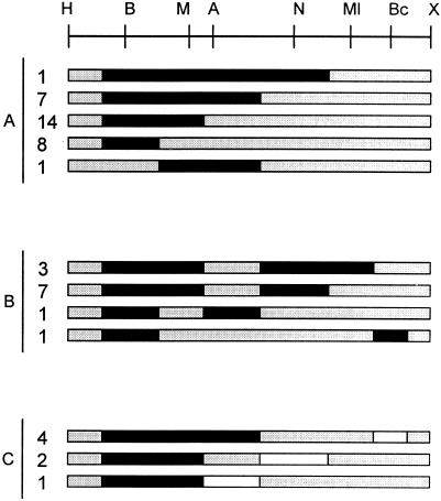 FIG. 7.