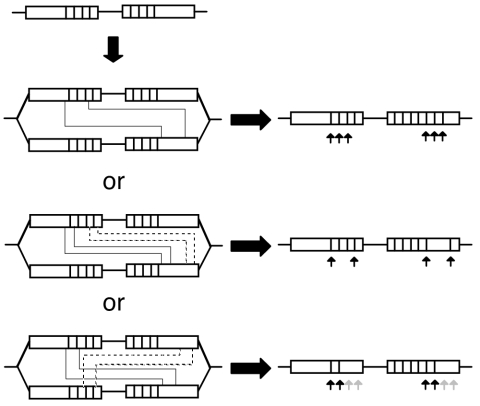 FIG. 9.