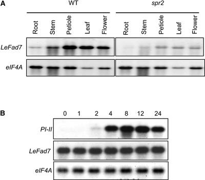 Figure 5.