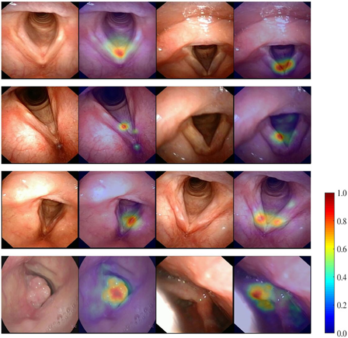 Fig. 7