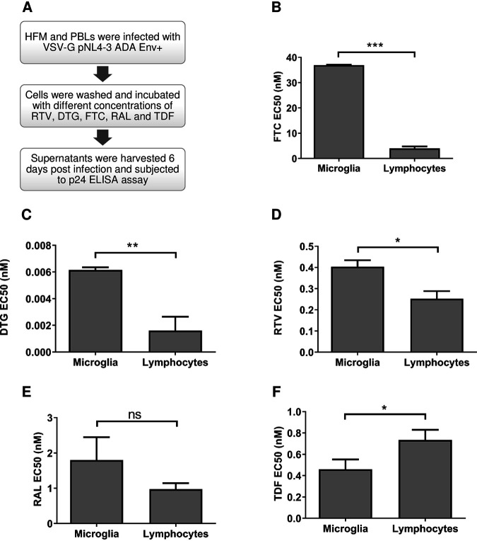 FIG 2