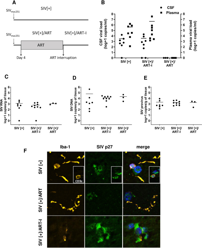 FIG 3