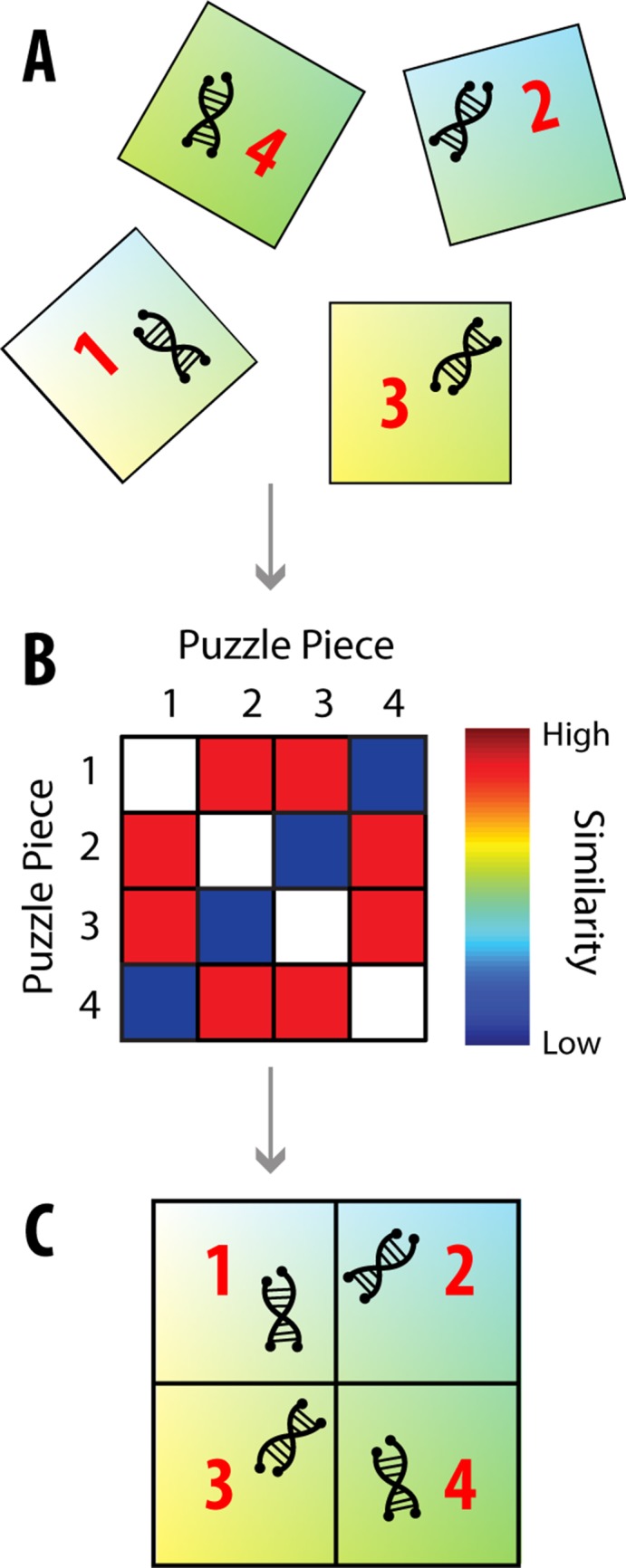 Fig 1