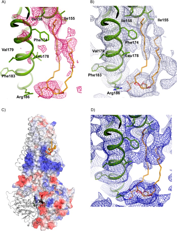 FIGURE 4.