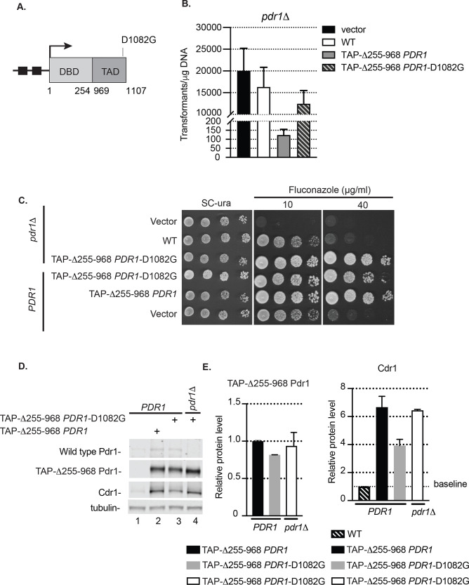 Fig 4