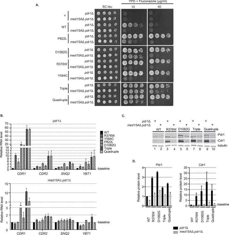 Fig 3