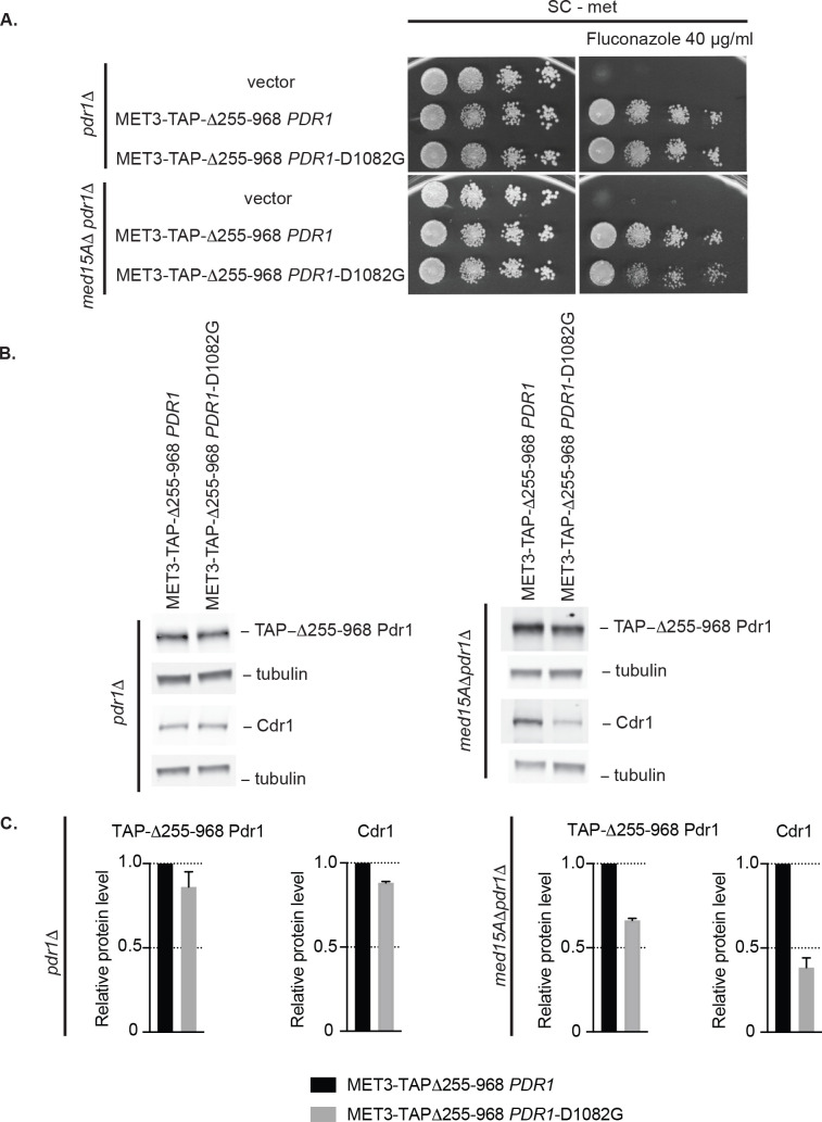 Fig 6