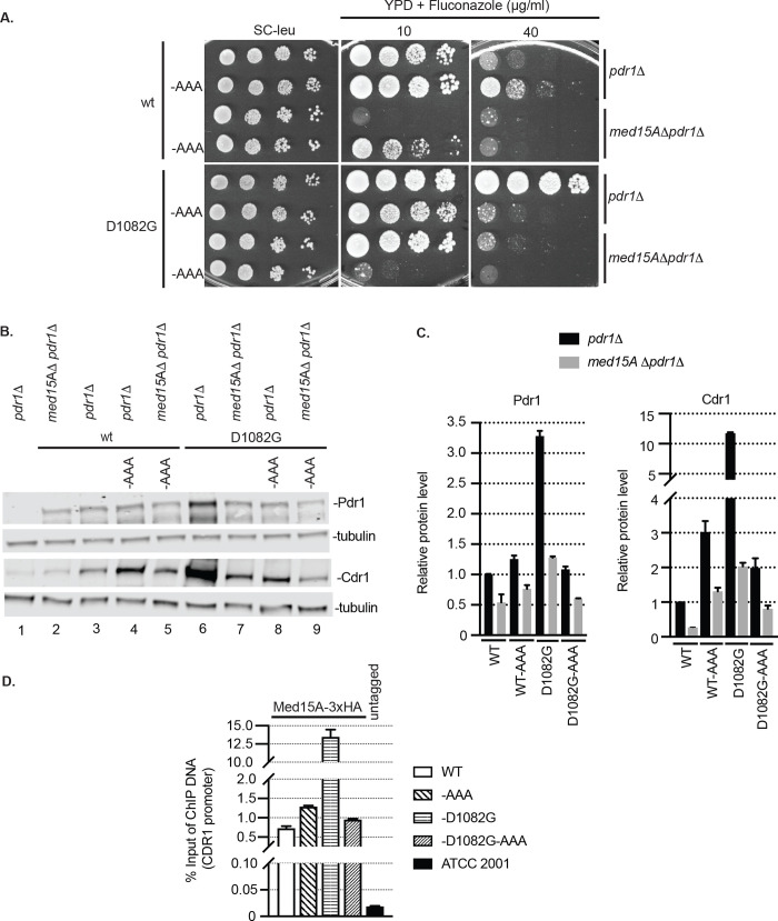 Fig 8