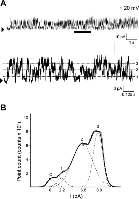 Fig. 1.