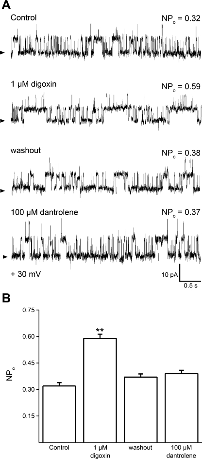 Fig. 10.