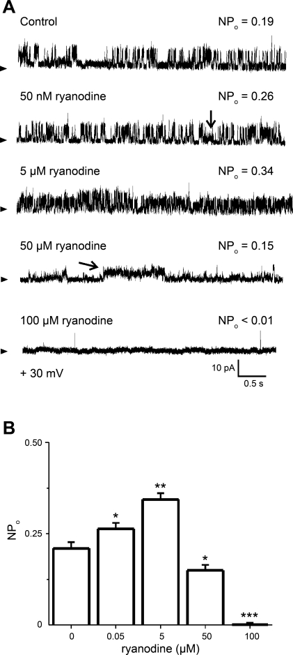 Fig. 6.