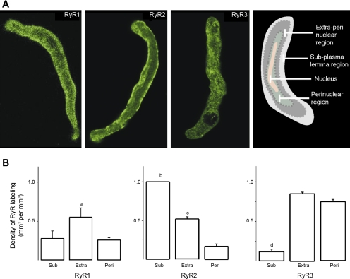 Fig. 9.