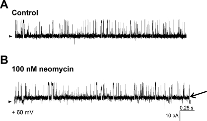 Fig. 11.