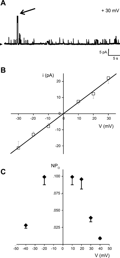 Fig. 3.