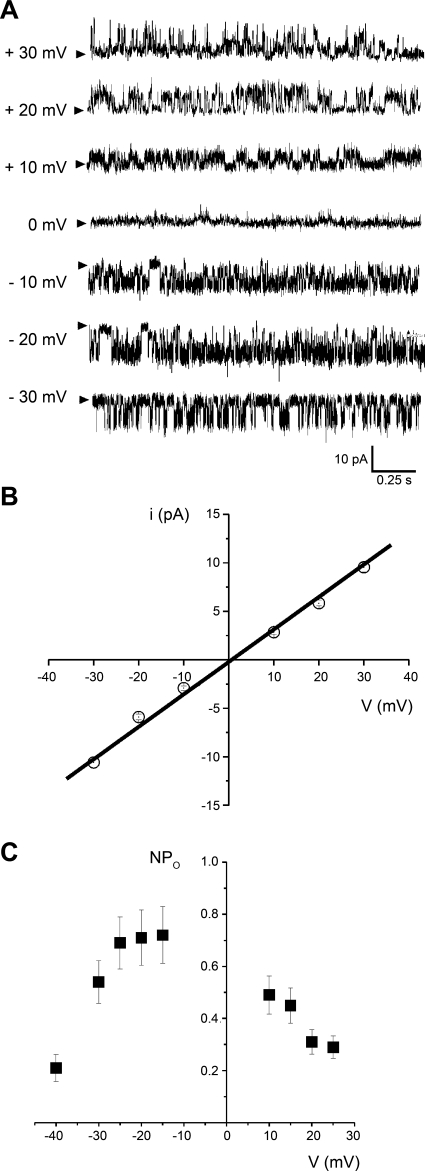 Fig. 2.