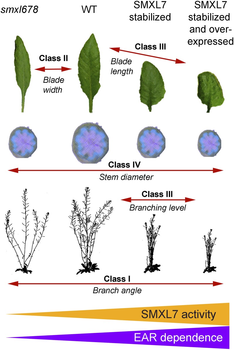 Figure 10.