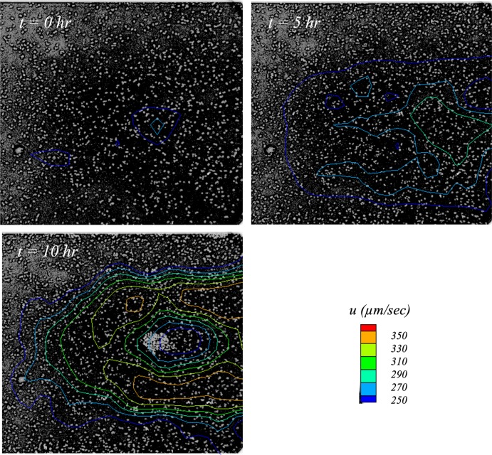 FIG 1