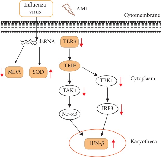 Figure 6