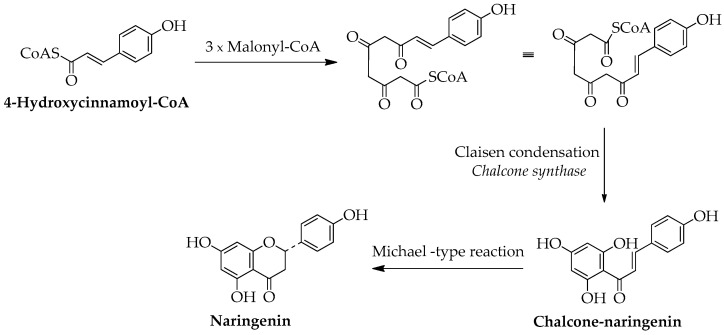 Scheme 2