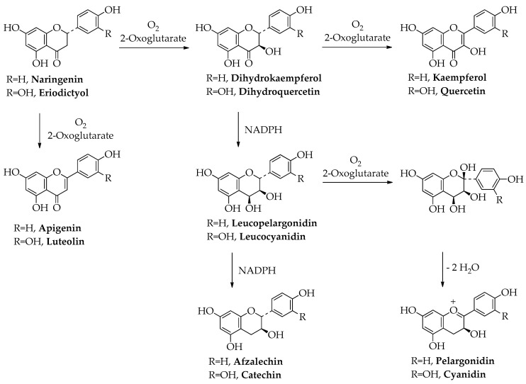 Scheme 3