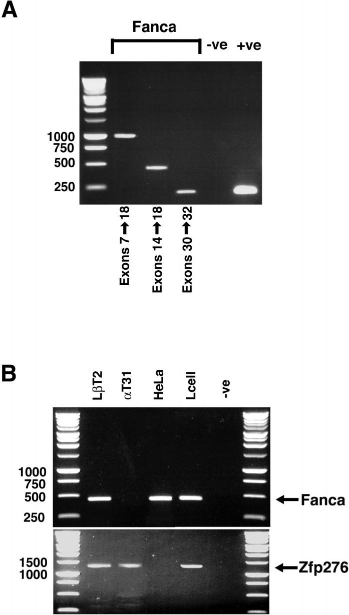 FIG. 5