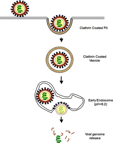 Fig. 2