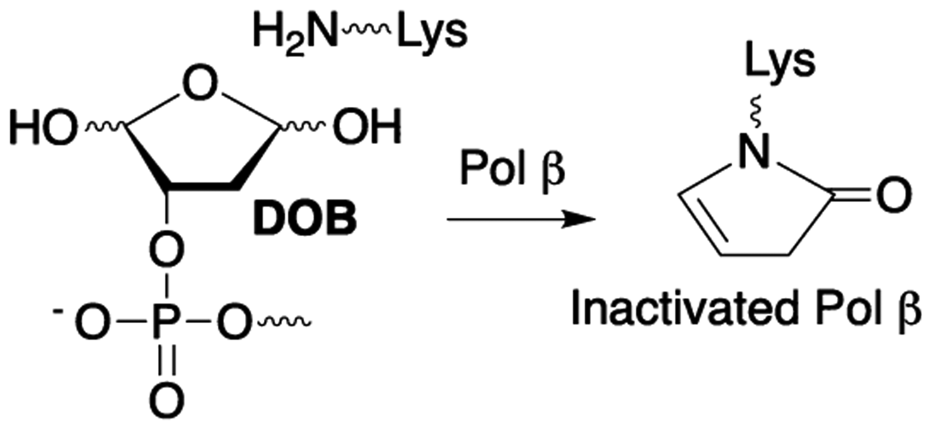 Scheme 2.