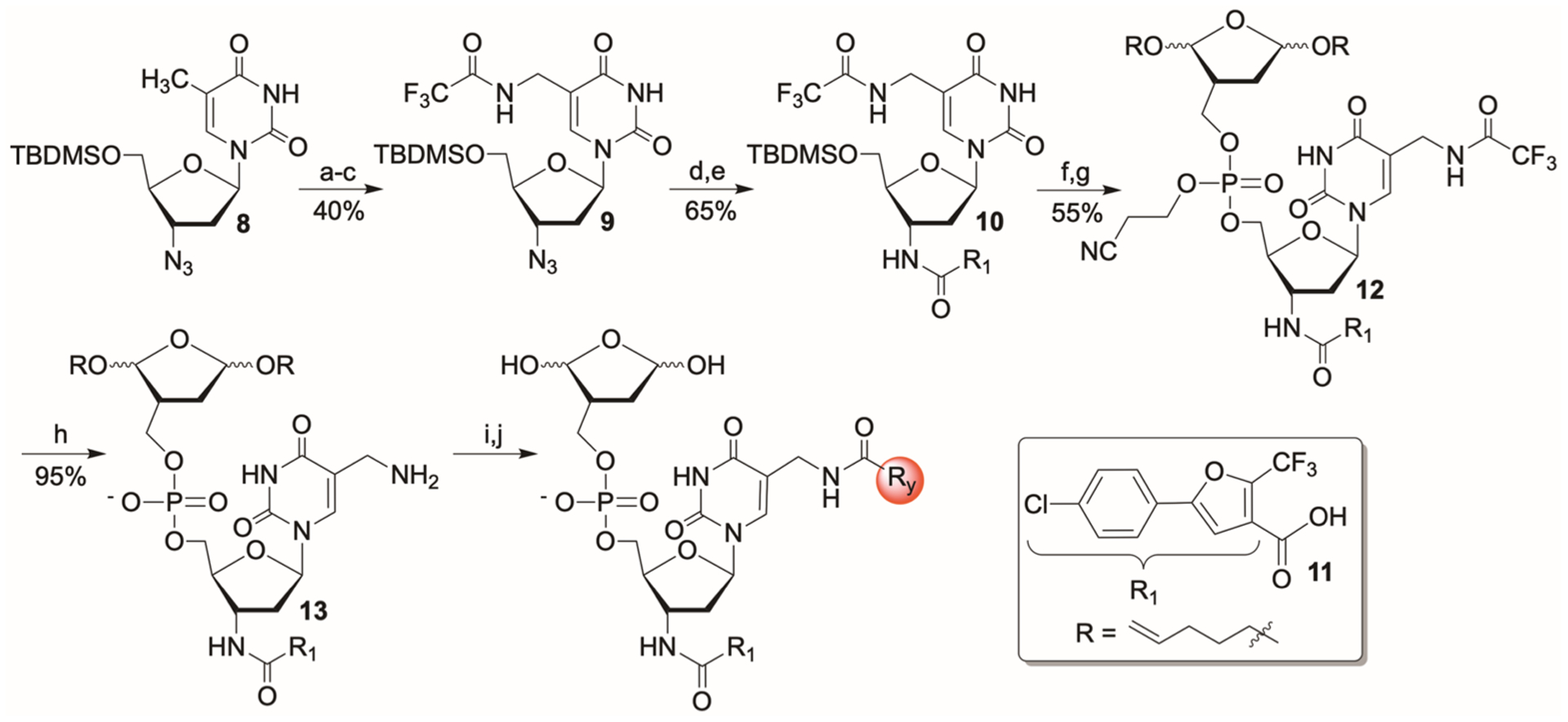 Scheme 6.