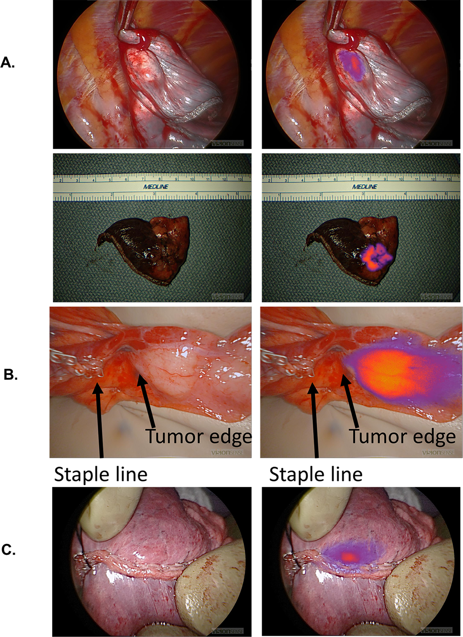 Figure 5: