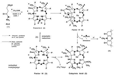 Scheme I