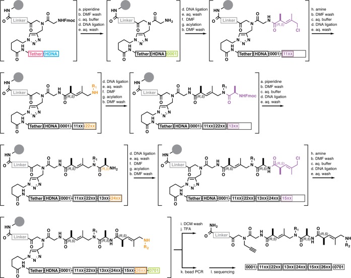 Scheme 1