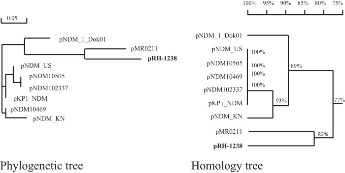 FIG 1